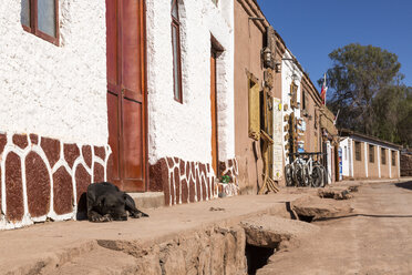 Südamerika, Chile, Atacama-Wüste, San Pedro de Atacama, Hund vor einem Haus liegend - STSF000313