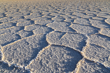 Südamerika, Bolivien, Atacama, Altiplano, Salar de Uyuni - STSF000303