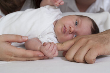 Porträt eines neugeborenen Mädchens mit den Händen von Vater und Mutter - PAF000206