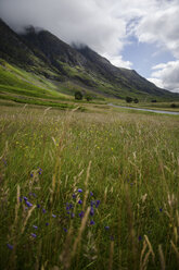 UK, Schottland, Glen Coe, Blick auf Buachaille Etive Mor - PAF000214