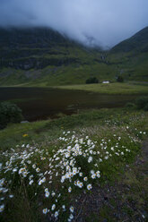 UK, Schottland, Glen Coe, Blick auf Buachaille Etive Mor - PAF000216