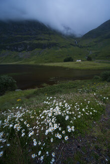 UK, Schottland, Glen Coe, Blick auf Buachaille Etive Mor - PAF000216