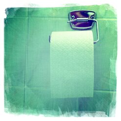 Eine Rolle Toilettenpapier auf dem Halter - ONF000245