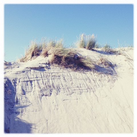 Deutschland, Deutschland, Ostsee, Darss, Weststrand, lizenzfreies Stockfoto