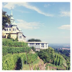 Dresden, vineyards, panoramic restaurant Spitzhaus - BMF000683