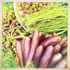 Aubergine, verschiedene Größen, Myanmar, Mandalay, Markt, Gemüse - BMF000820