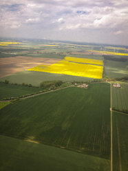 Rapsfeld (Brassica rapa), Luftaufnahme, Mecklenburg, Deutschland - FBF000142