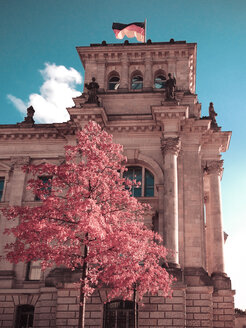 kirschbaum (cornus mas) vor dem Reichstag, Berlin, Deutschland - FBF000111