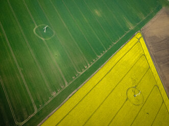 Electricity pylons in field of canola (Brassica rapa), aerial view, Mecklenburg, Germany - FBF000109