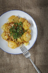 Dish with fried potatoes, onion and parsley - EVGF000324