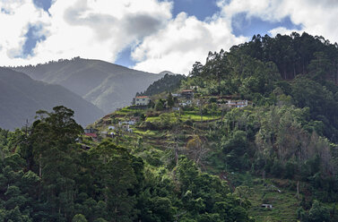 Portugal, Madeira, Berg bei Santana - HLF000345