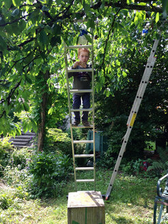 Junge isst Kirschen bei der Ernte, Deutschland, Konstanz - JEDF000040