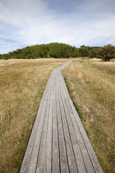 Deutschland, Mecklenburg-Vorpommern, Rügen, Naturschutzgebiet Kreptitzer Heide, Holzpromenade - WIF000296