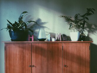 Plants standing on a cupboard or sideboard in an apartment, Bonn, NRW, Germany - MFF000712