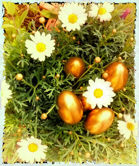 Easter still life, Munich, Germany - SRSF000453