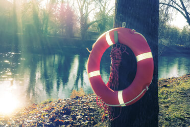 Life belt on the tree, Landshut, Bavaria, Germany - SARF000189