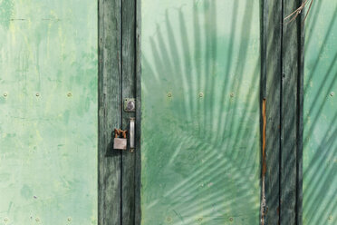 Spain, Canary Islands, La Palma, Green wooden door with padlock and shadow of a palm leaf - SIE004967