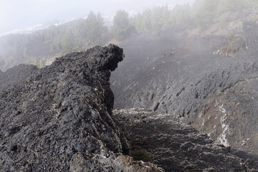 Spanien, Kanarische Inseln, La Palma, Coladas de San Juan, Cumbre Vieja, Lavastrom - SIEF004950