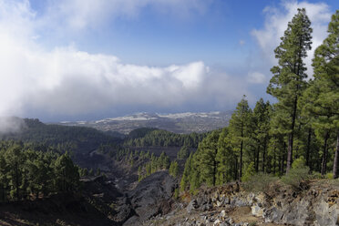 Spanien, Kanarische Inseln, La Palma, Coladas de San Juan, Cumbre Vieja, Lavastrom - SIEF004948