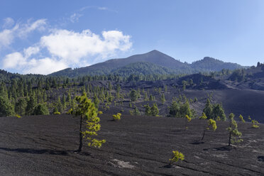 Spanien, Kanarische Inseln, La Palma, Llano de Jable bei El Paso mit Vulkan Pico Birigoyo - SIEF004946