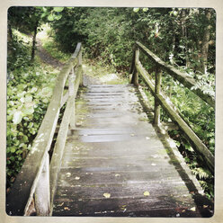 Bridge over a stream, along a hiking trail, Lower Saxony, Germany - SEF000380