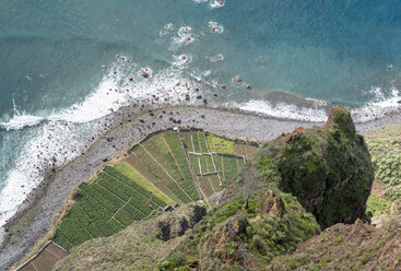 Portugal, Madeira, Cabo Girao, view down to terrace fields and beach - HLF000354