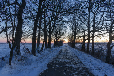 Deutschland, Niedersachsen, Allee im Winter bei Sonnenuntergang - SJF000081
