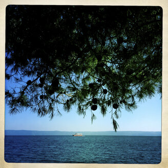 Blick auf Meer, Schiff, Kiefer (pinus pinea), Puntinak, Brac, Kroatien - DISF000264