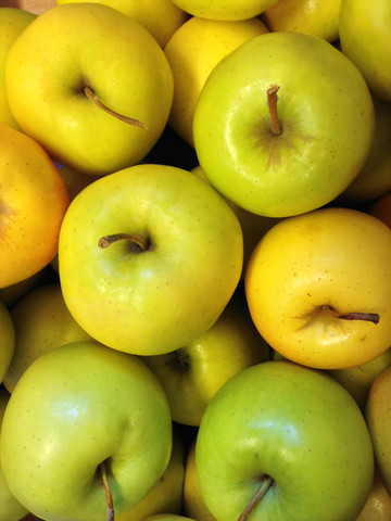 Golden Delicious Apfel (Malus domestica), lizenzfreies Stockfoto