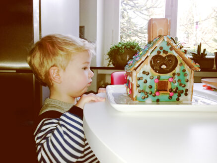 Little boy looking at gingerbread house on table - MEAF000036