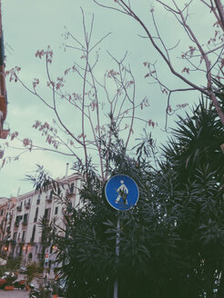 Walking sign in a bush, Palermo, Sicily, Italy - MEAF000095