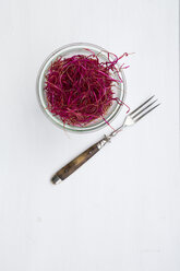 Preserving jar with beetroot sprouts and fork on white ground - LVF000452