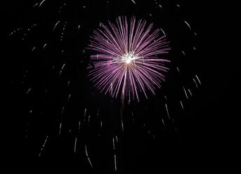 Pink and white fireworks at black sky - SLF000242