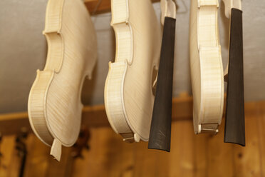 Unfertige Geigen in der Werkstatt eines Geigenbauers - TCF003800