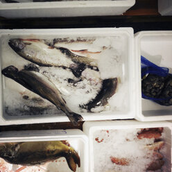 Frischer Fisch auf dem Fischmarkt, Hamburg, Deutschland - SEF000432