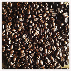 Roasted coffee beans, Hamburg, Germany - SEF000415