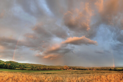 Deutschland, Rheinland-Pfalz, Neuwied, Rommersdorf, Feld und Gewitterwolke im Sommer - PA000243