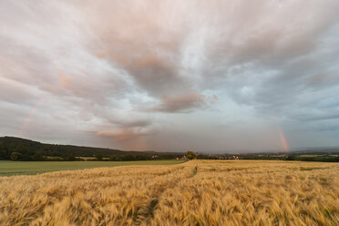 Germany, Rhineland-Palatinate, Neuwied, Rommersdorf, field and thundercloud in summer - PA000252