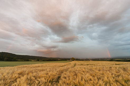 Deutschland, Rheinland-Pfalz, Neuwied, Rommersdorf, Feld und Gewitterwolke im Sommer - PA000252