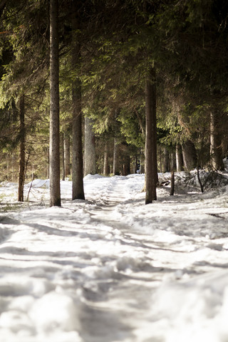 Deutschland, Bayern, Schneebedeckter Weg am Großen Arber, lizenzfreies Stockfoto