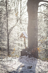 Deutschland, Bayern, Bodenmais, Wegkreuz im winterlichen Wald - SBDF000451