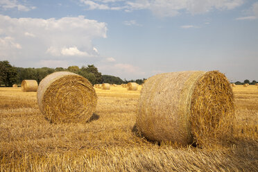 Germany, North Rhine-Westphalia, Kamen, straw bales on stubble field - WIF000310