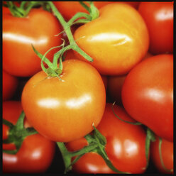 Tomaten, Deutschland - KSWF001183