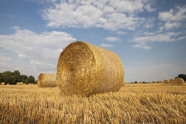 Germany, North Rhine-Westphalia, Kamen, straw bales on stubble field - WIF000312