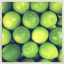 Limes - KSWF001194