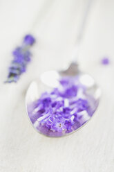 Blütenblätter von Lavendel (Lavendula) auf Löffel, Nahaufnahme - GWF002482