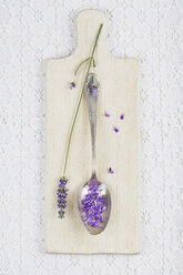 Blüte und Blütenblätter von Lavendel (Lavendula) auf Löffel und Holzbrett - GWF002483