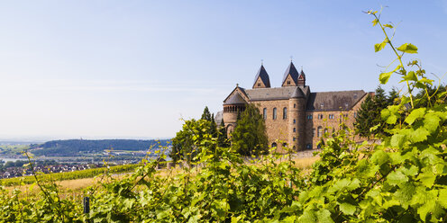 Germany, Hesse, Ruedesheim, St. Hildegard Abbey - WDF002203