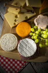 Cheese platter, different cheese, french cheddar, french soft cheese, french sheep cheese, camembert, emmentaler, and austrian mountain cheese - MAEF007650