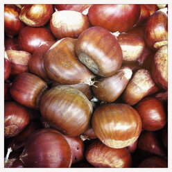 Chestnuts - KSWF001201